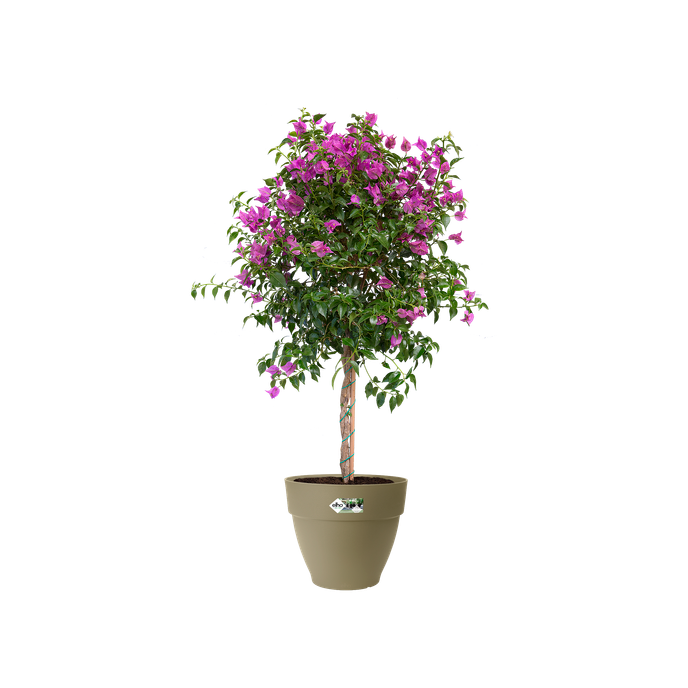 vibia campana rond 25cm vert cendré